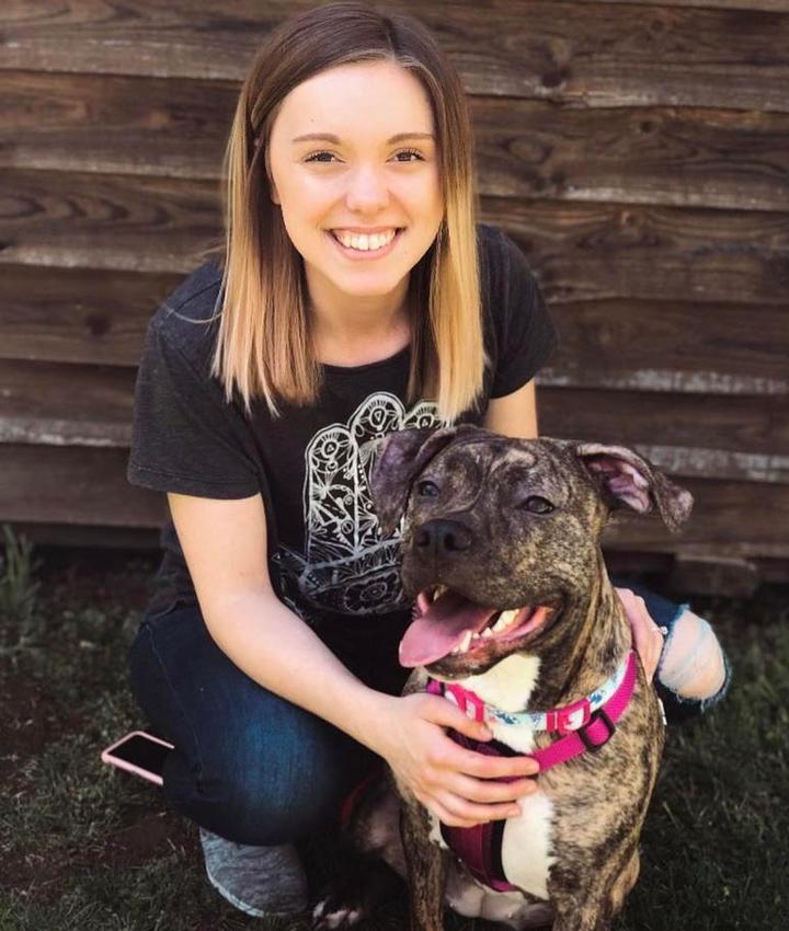 Veterinarians in Erie Erie PA Veterinarians