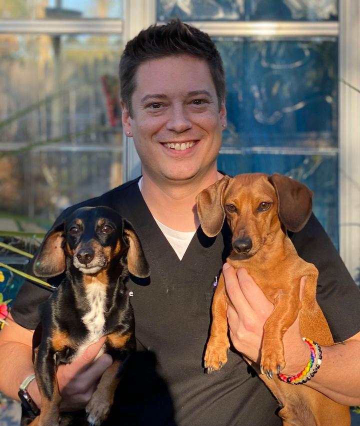 Veterinarians in Erie Erie PA Veterinarians